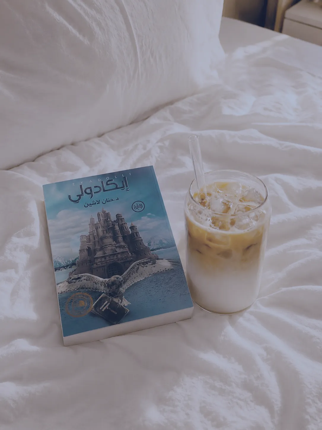 رواية خيال أدبية